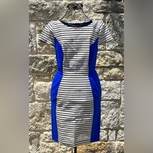 🟡 Sachin + Babi by Anthropologie Gray Striped Dress with Blue Sides